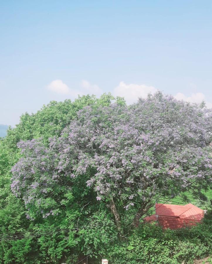 مبيت وإفطار كونور Camellia Heights 1&2 المظهر الخارجي الصورة